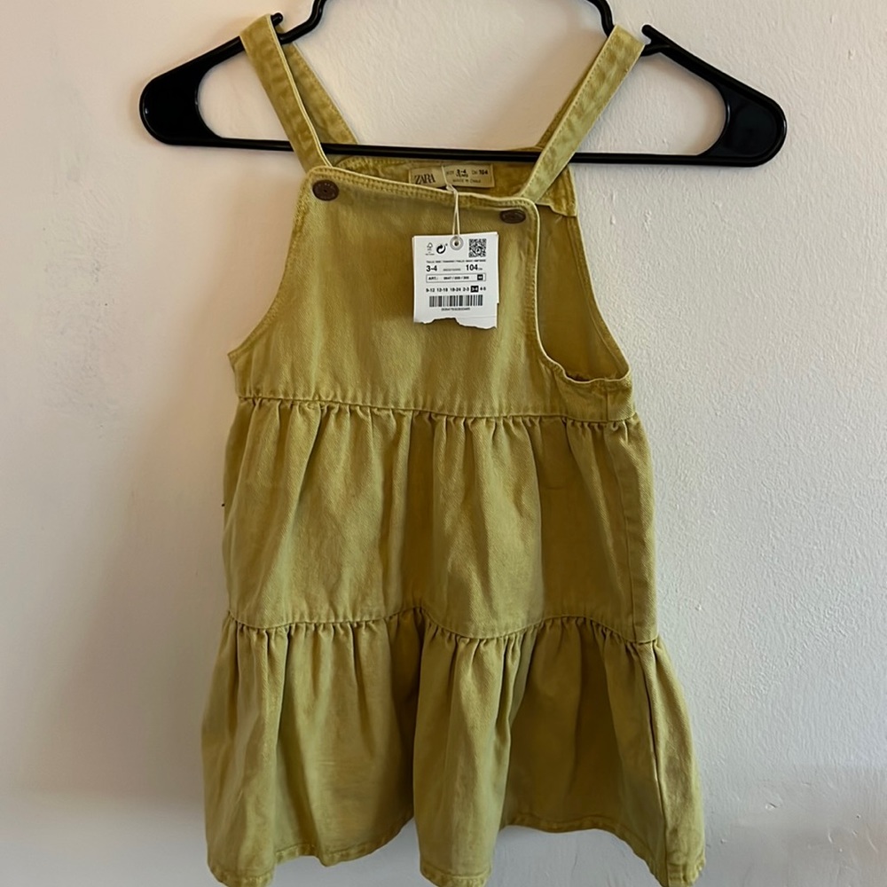 Zara Denim Dress